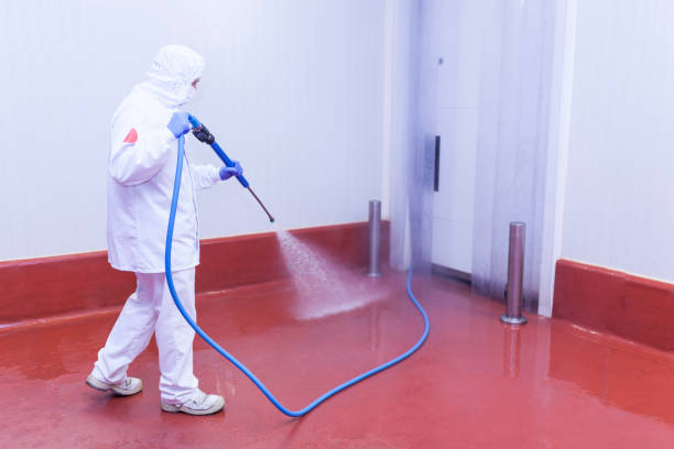 Best Paint Preparation  in Franklin Furnace, OH